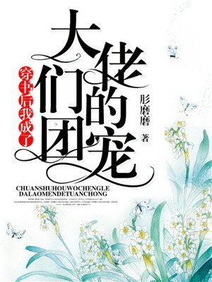 手机黄页网视频网站地址
