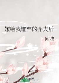 五月花网