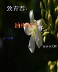 远山的呼唤福林全集