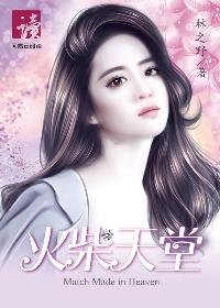 国家公诉40集免费完整版