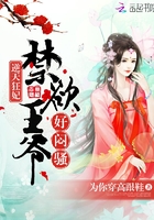 电视剧星汉灿烂免费观看完整版
