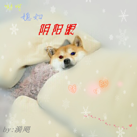 漂亮社恐穿成万人嫌后