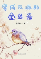 wow宏