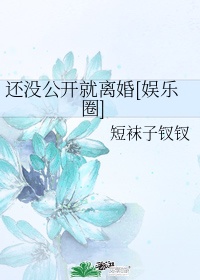 乱世枭雄300和485