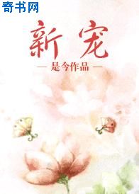 差差差30分钟视频轮滑免费