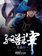九九视频这里只有精品