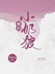 我的娇妻小说