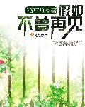 扶摇电视剧免费观看全集在线播放