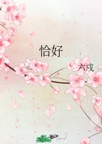 超级女婿免费观看全集