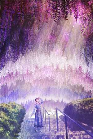 深渊蝴蝶