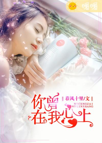 红楼梦h