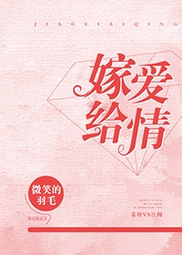 魔装学园hh