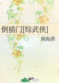 27报动态图