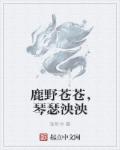 穿越之一妻难求小说