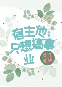 美国三极片
