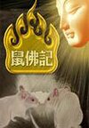 李一桐个人资料简介