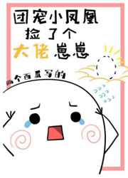 天衣无缝免费观看