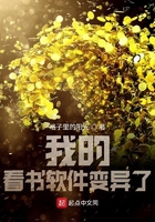 小说大团结