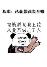 铁拳无敌陈扬5300章