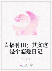 三宝局长新编第11部