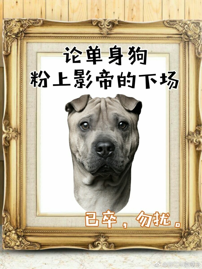 新少林五祖电影完整版