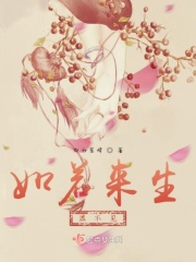 善良的女秘书k8