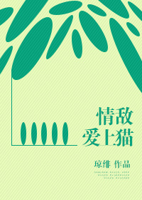 哪有黄页视频网站