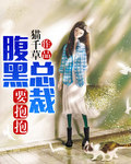 腐剧暖光