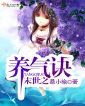 侠岚第七季