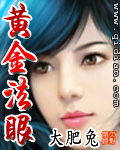 张丽美国在线播放