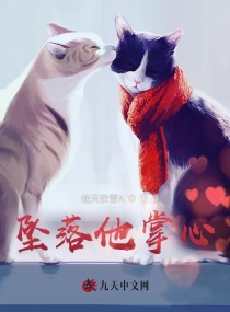 情绪超市txt全文目录
