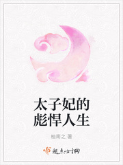 来自星尘官网