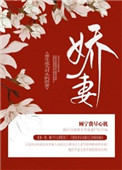 把npc搞怀孕的游戏免费手机