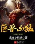 收获之夜种子