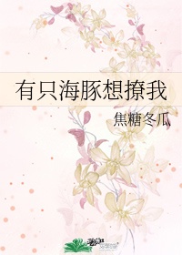 我的娇妻辣文
