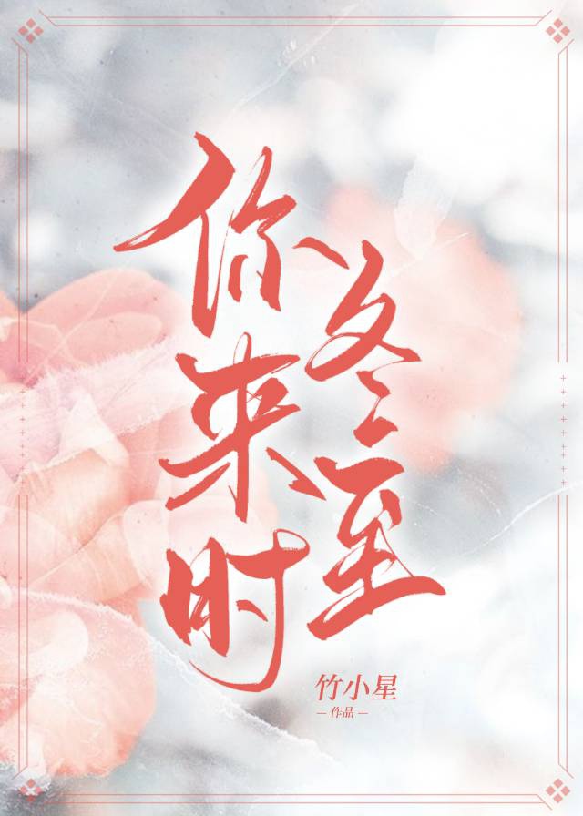 猫咪网站官方网