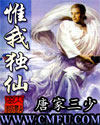 应惜艳阳年