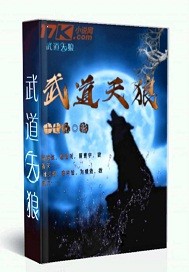 壮志凌云成人版