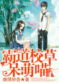 丕丕漫画登录页面入口在线看视频