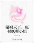 果宝特攻全集