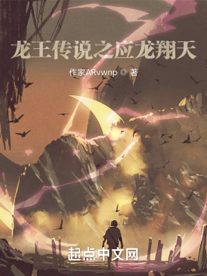 成语大会王蕊放水