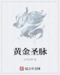 皮裤胡同