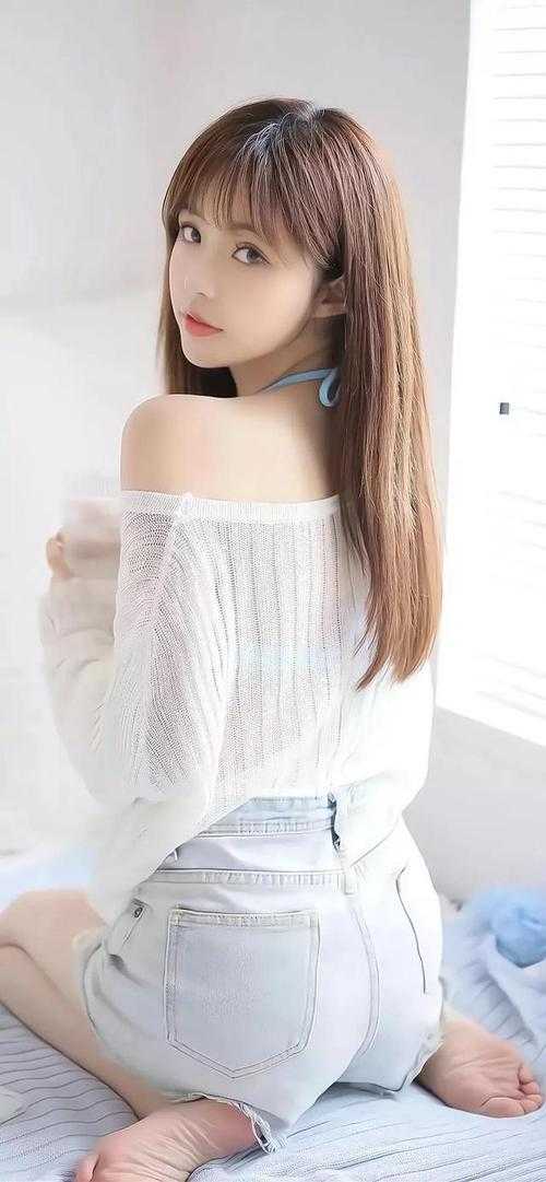 赵锦辛黎朔是哪部小说