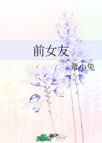 大尺寸的小黄说字多肉办公室