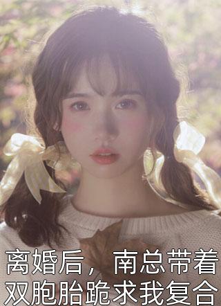 综穿红楼