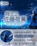 野花社区高清在线观看视频www