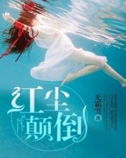 裤裤笔记本