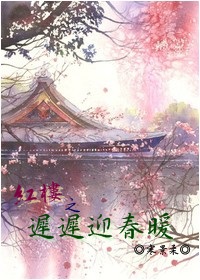 流金岁月图片