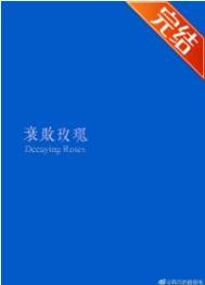 yy4040
