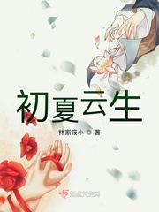 口袋妖怪火红